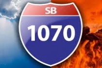 Morrison Institute poll: Voters interested in jobs; doubt SB 1070 benefit