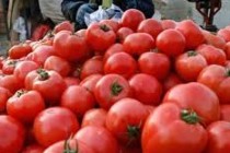 U.S., Mexico unveil plan to head off trade war over tomato imports