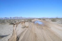 Environmental groups call on Border Patrol to reduce off-road damage