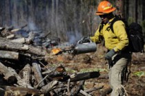 Lawmakers, Citing Yarnell, Press Forestry Officials on Wildfire Prevention