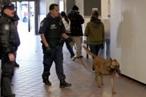 Court voids marijuana conviction on questions about drug-sniffing dog