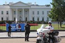 Arizonans Arrested for White House Protest