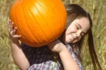 Valley pumpkin patch activites for the entire family