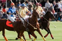 Scottsdale Polo Championships: Horses and Horsepower Event!