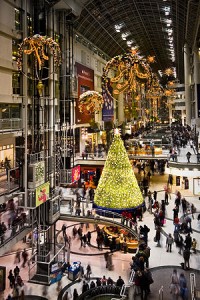 300px-Shoppers_at_Toronto_Eaton_Centre1