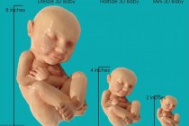 Cute or creepy? 3D Printing Firm Offers Lifesize Figurine of Baby from your Ultrasound Scan