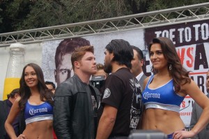 canelo vs perro