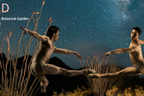 Ballet Arizona Gears Up for ‘Round’ at Phoenix’s Desert Botanical Garden