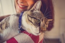 Is There Any Truth to ‘Crazy Cat Lady’ Nickname? Study Says Maybe…