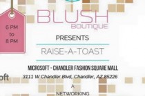 Blush Boutique Presents: ‘Raise-a-Toast,” a Networking and Philanthropic Event