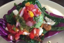 Vegan Dishes: Latin Flavors Without the Meat