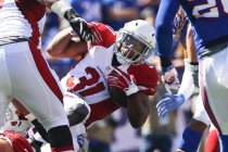 Tough Road Loss for Cardinals at Buffalo