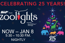 Zoolights at the Phoenix Zoo Now Open through January 8th