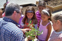 Child Obesity Report Scary for Latinos